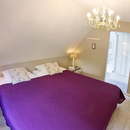 Westerwald Ferien - 21 Personen - Kino, Bar, Sauna Und Whirlpool