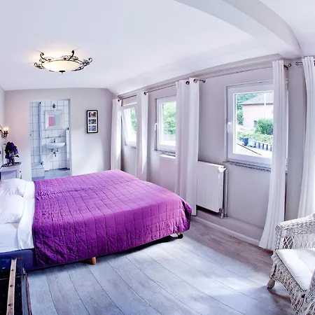 Westerwald Ferien - 21 Personen - Kino, Bar, Sauna Und Whirlpool Holiday home