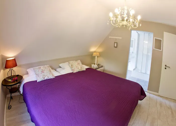 Westerwald Ferien - 21 Personen - Kino, Bar, Sauna Und Whirlpool